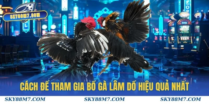Cách để tham gia Bồ Gà Lâm Dồ hiệu quả nhất