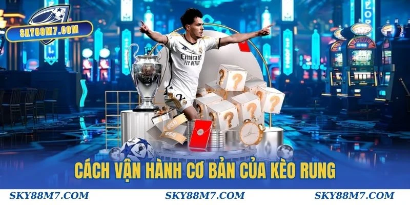 Cách vận hành cơ bản của kèo rung