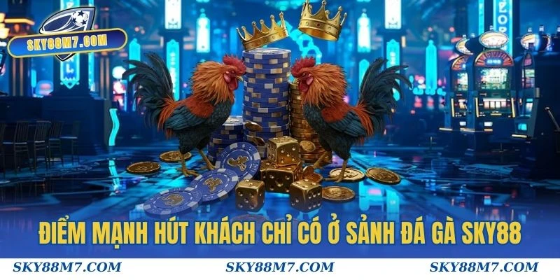 Điểm mạnh hút khách chỉ có ở sảnh Đá Gà Sky88