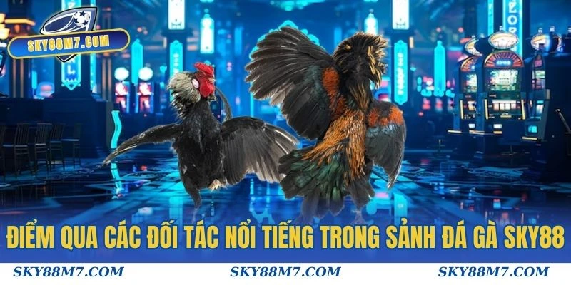 Điểm qua các đối tác nổi tiếng đang có trong sảnh Đá Gà Sky88