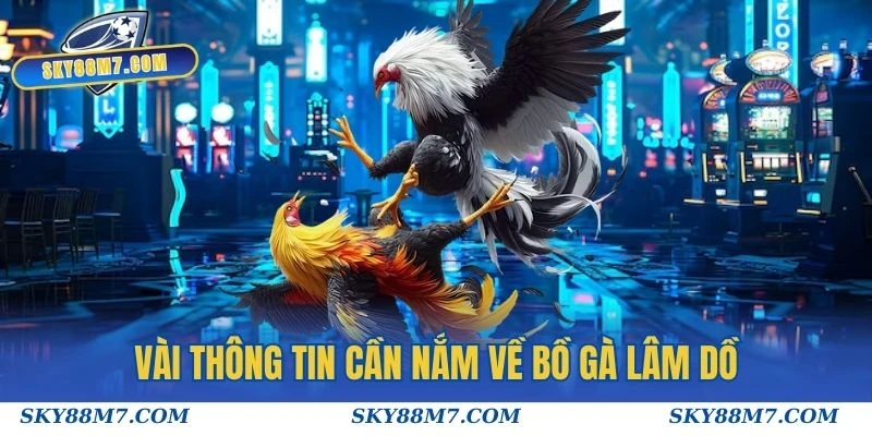 Vài thông tin cần nắm về Bồ Gà Lâm Dồ